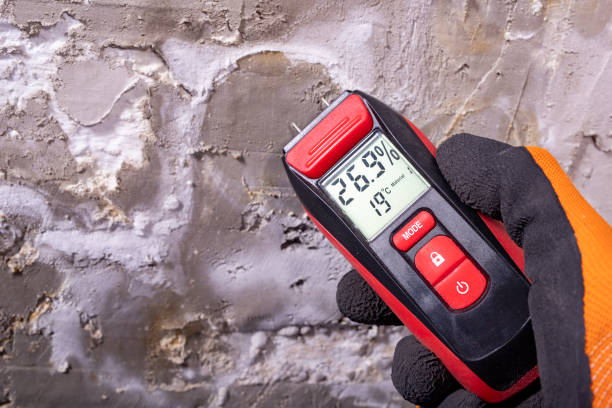 Best Mold Testing and Inspection Services in Woodburn, IN